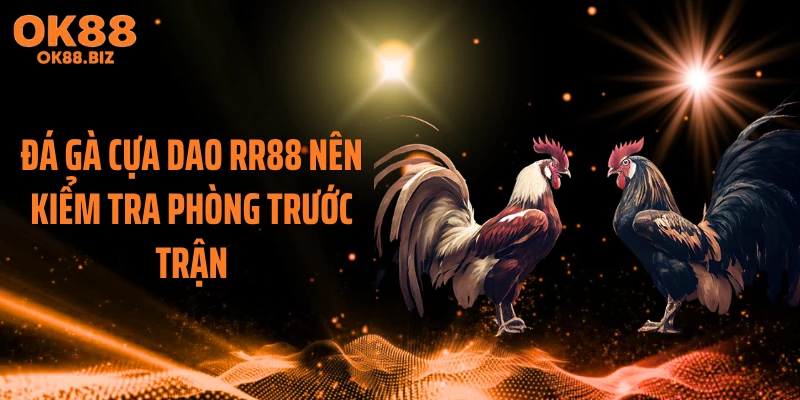 Đá gà cựa dao RR88 nên kiểm tra phòng trước trận