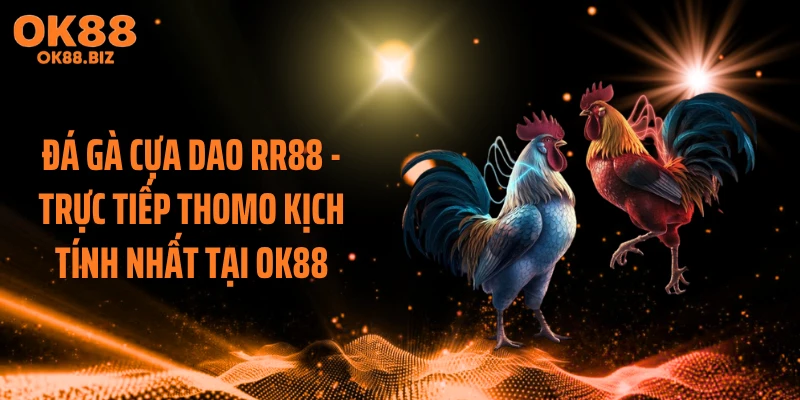 Đá gà cựa dao RR88 - Trực Tiếp Thomo Kịch Tính Nhất Tại OK88