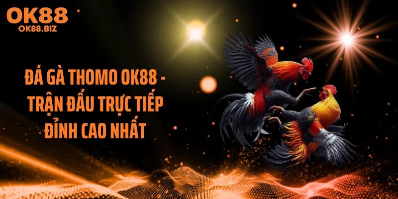 Đá Gà Thomo OK88 - Trận Đấu Trực Tiếp Đỉnh Cao Nhất