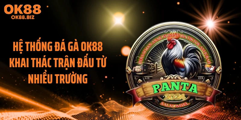 Hệ thống đá gà OK88 khai thác trận đấu từ nhiều trường