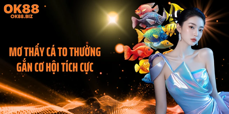 Mơ thấy cá to thường gắn cơ hội tích cực