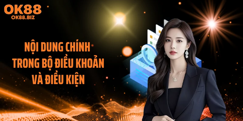 Nội dung chính trong bộ điều khoản và điều kiện