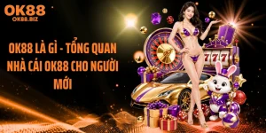 OK88 Là Gì - Tổng Quan Nhà Cái OK88 Cho Người Mới